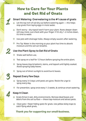 Pet-safe plant care moment using Kate's spray near foliage.