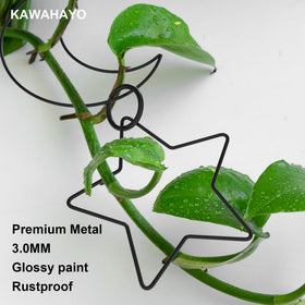 KAWAHAYO outdoor indoor use ideal for Monstera Pothos and ivy