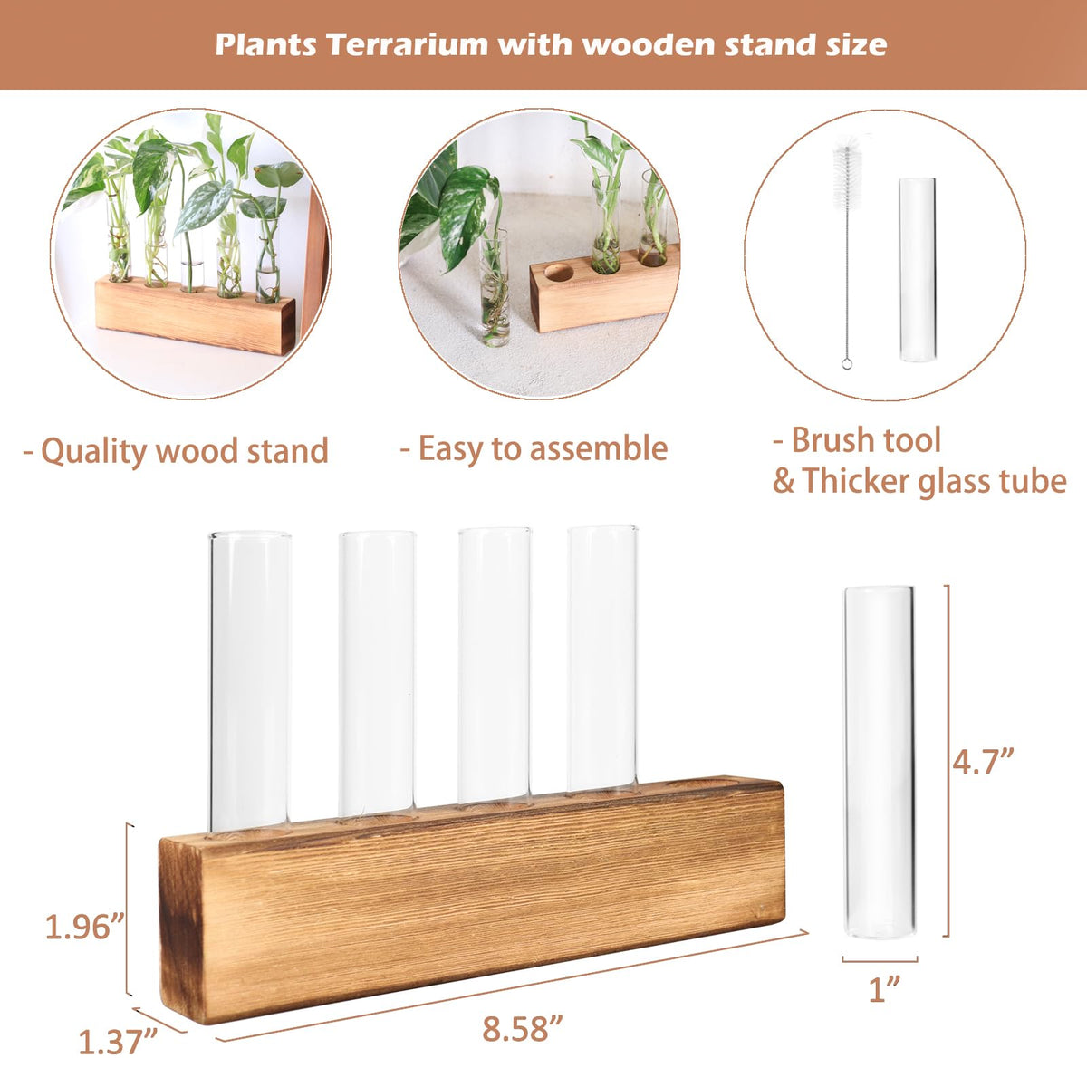 K KAXYEW houseplant cuttings setup suitable for Lucky Bamboo, Pothos, and more.