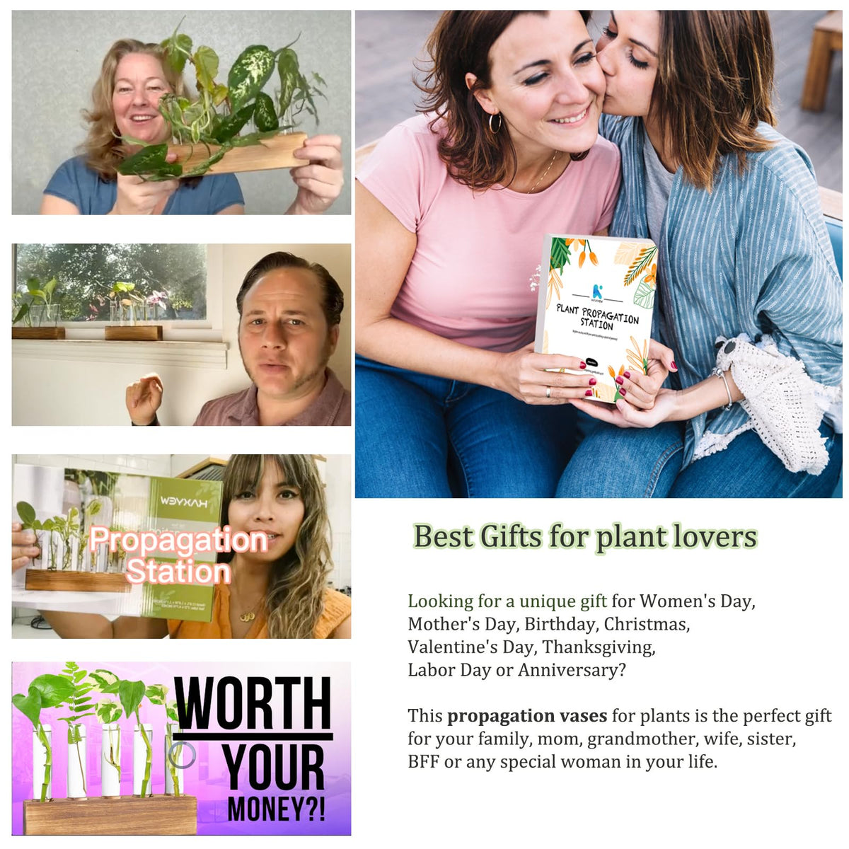 K KAXYEW indoor desk decor for stylish plant propagation in living spaces.
