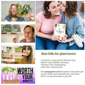K KAXYEW indoor desk decor for stylish plant propagation in living spaces.