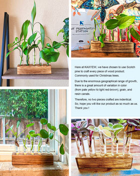 K KAXYEW gift for plant lovers, ideal for birthdays and holidays.