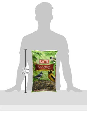 Backyard oasis with Kaytee wild bird food invites year‑round feathered visitors.