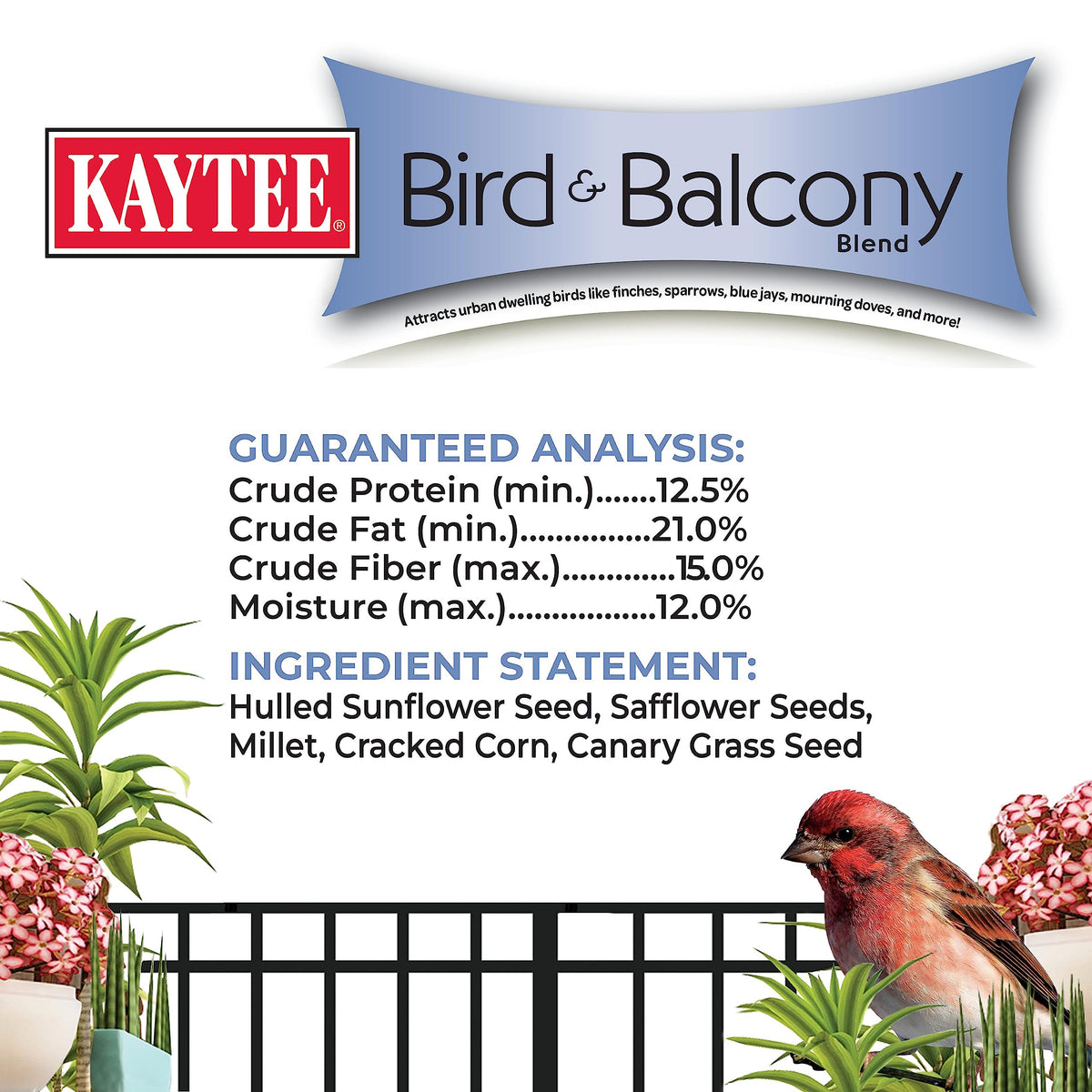 Kaytee Bird & Balcony No Mess Seed Blend on a window feeder during morning light