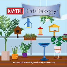 Kaytee Bird & Balcony No Mess Seed Blend attracting mourning doves on urban balcony