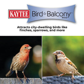 Kaytee Bird & Balcony No Mess Seed Blend with sunflower-based mix for city birds