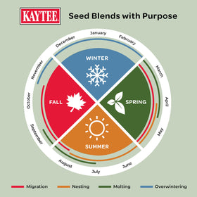 Kaytee bird feeder loaded with Spring Migration Seed Blend for easy feeding