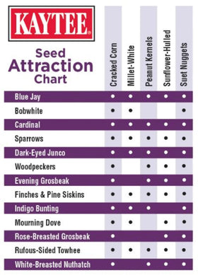 Kaytee blueberry flavor seed blend supports vibrant feeder activity