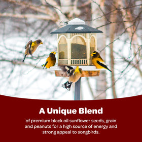 Cardinals, Chickadees and Jays attracted by Kaytee Songbird Blend in backyard.