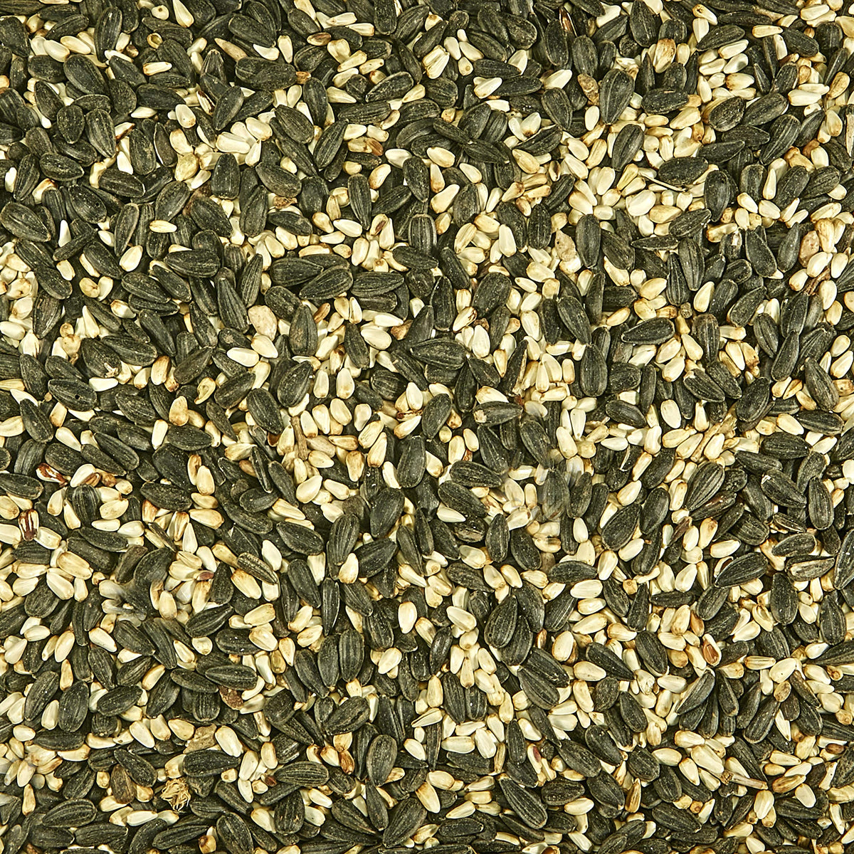 Kaytee Cardinal Wild Bird Seed front bag view invites backyard birds.