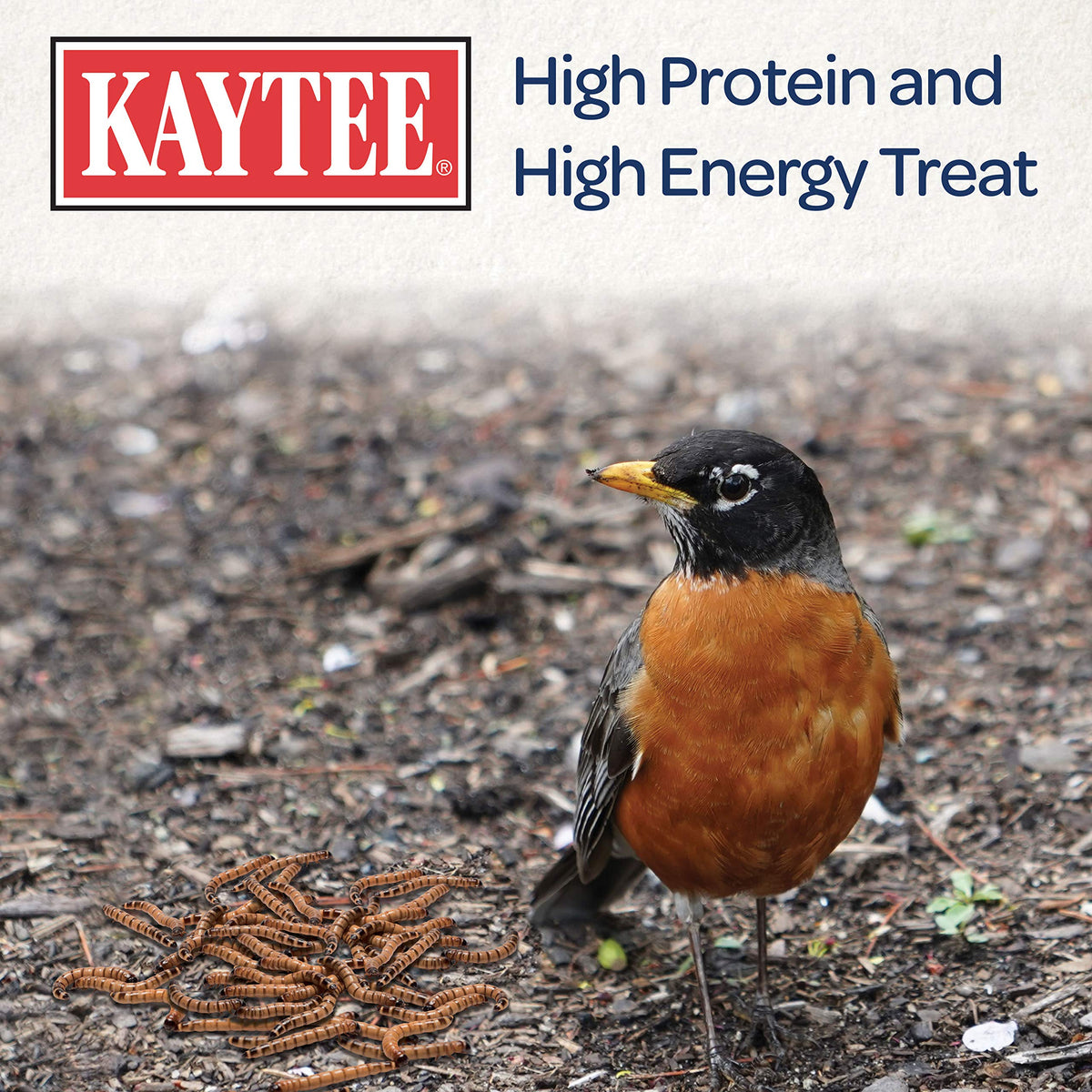 Kaytee chickadees with mealworms friendly backyard visitors encouraged.
