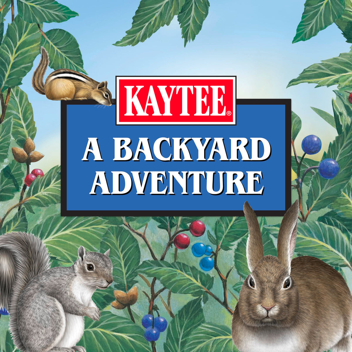 Kaytee Corn on the Cob as a distraction from bird feeders
