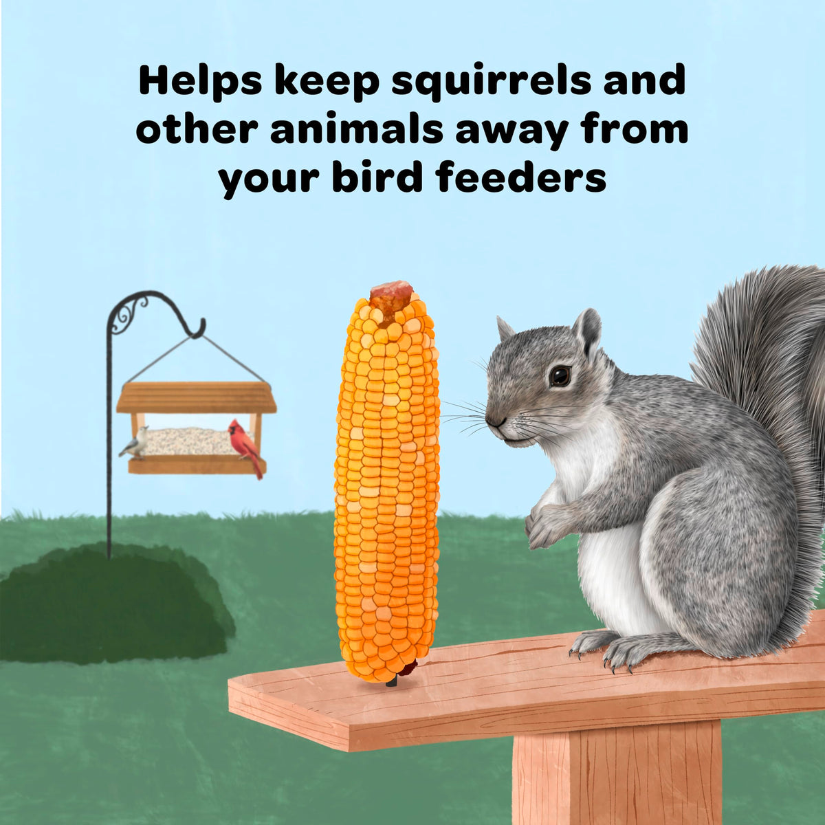 Kaytee Corn on the Cob with squirrels enjoying, delightful natural moment
