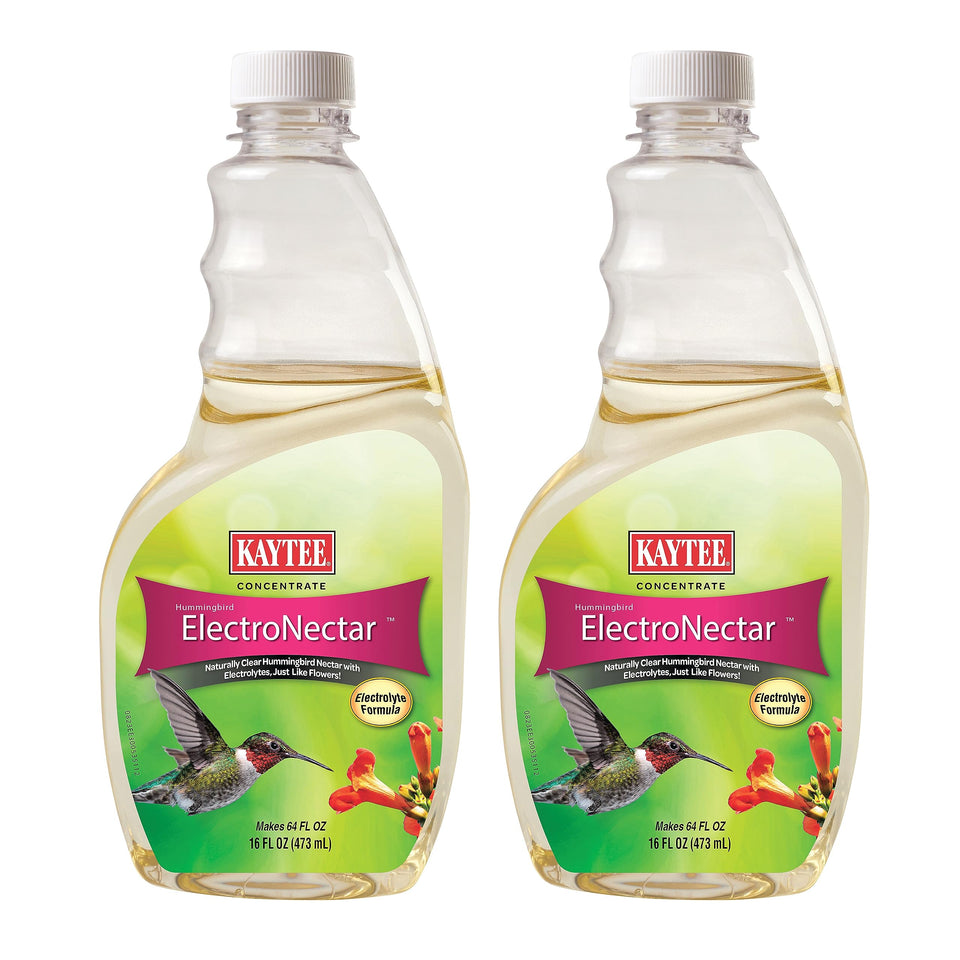 Kaytee ElectroNectar two-pack bottles front view ideal for stocking up for hummingbird season