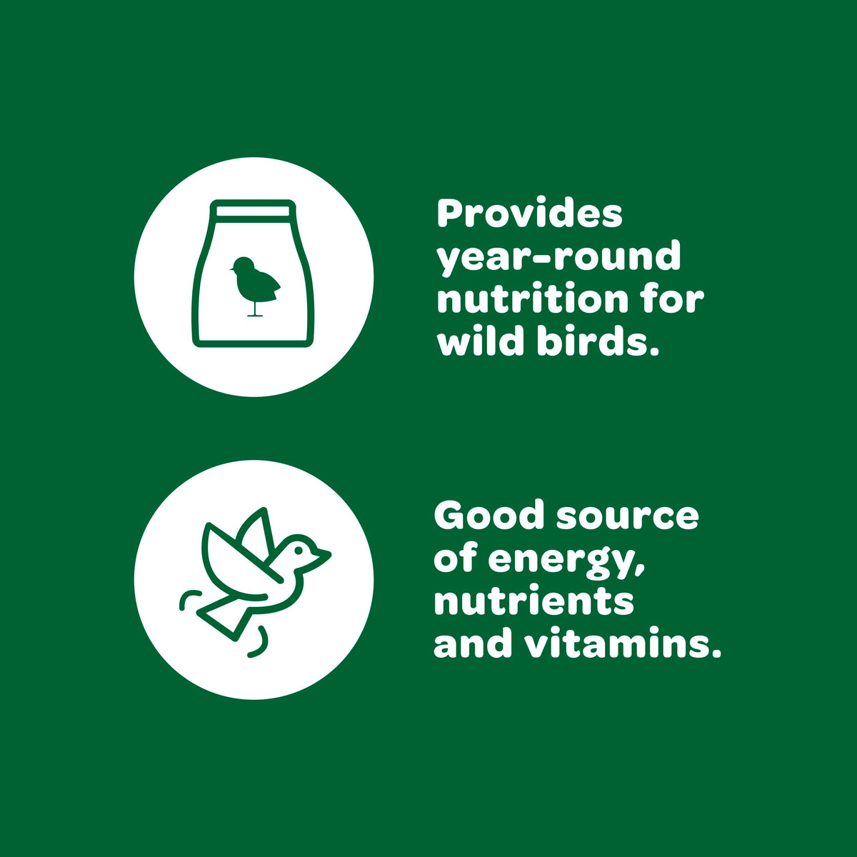 Kaytee Essentials Blend black oil sunflower seeds promote year-round feeding with happy nibblers.