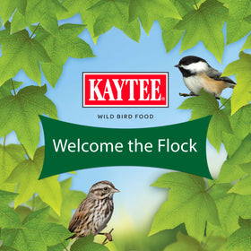 Kaytee Essentials Blend supports diverse species like jays and finches.