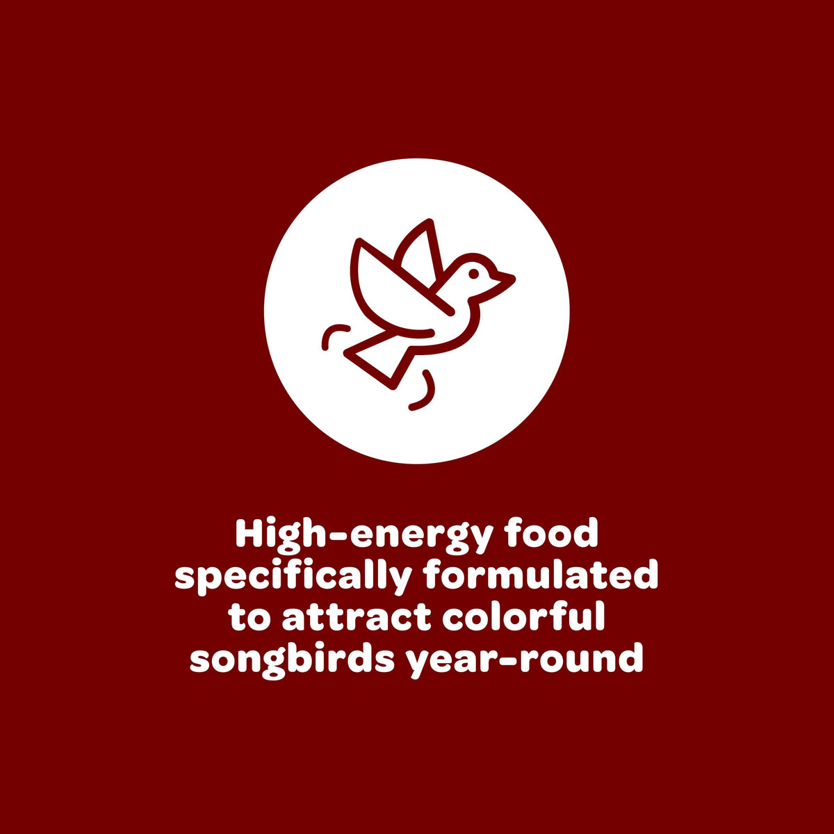 High‑energy Kaytee wild bird food supports active songbirds at feeders.