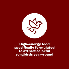 High‑energy Kaytee wild bird food supports active songbirds at feeders.
