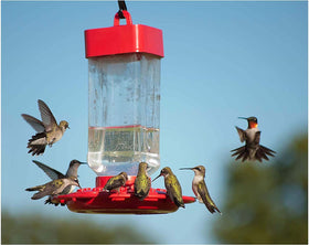 Kaytee hummingbird nectar designed for standard feeders and reliable hydration