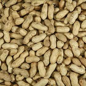 Kaytee in-shell peanuts attract blue jays while preserving freshness