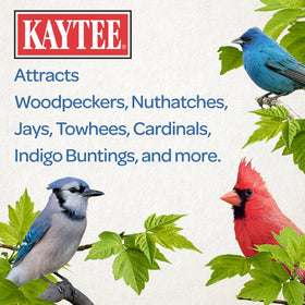 Kaytee in-shell peanuts invite squirrels to snack and forage