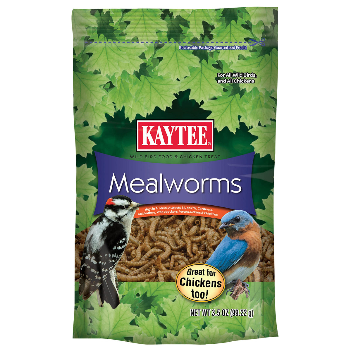 Kaytee mealworms wild bird food bag offering convenient protein for hard-to-attract species.