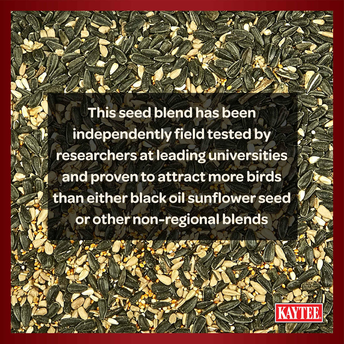 Kaytee Midwest Regional Seed Blend in feeder attracting multiple backyard birds.