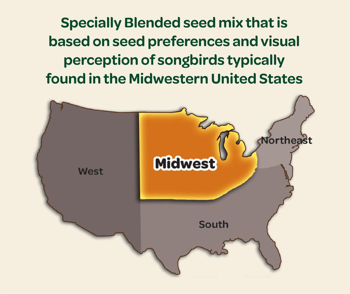 Chickadees sampling Kaytee Midwest Regional Seed Blend mix.