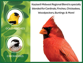Finches foraging at Kaytee Midwest Regional Seed Blend feeder.