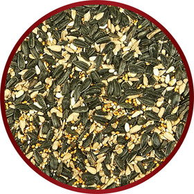 All-season feeding with Kaytee Midwest Regional Seed Blend for year-round birds.