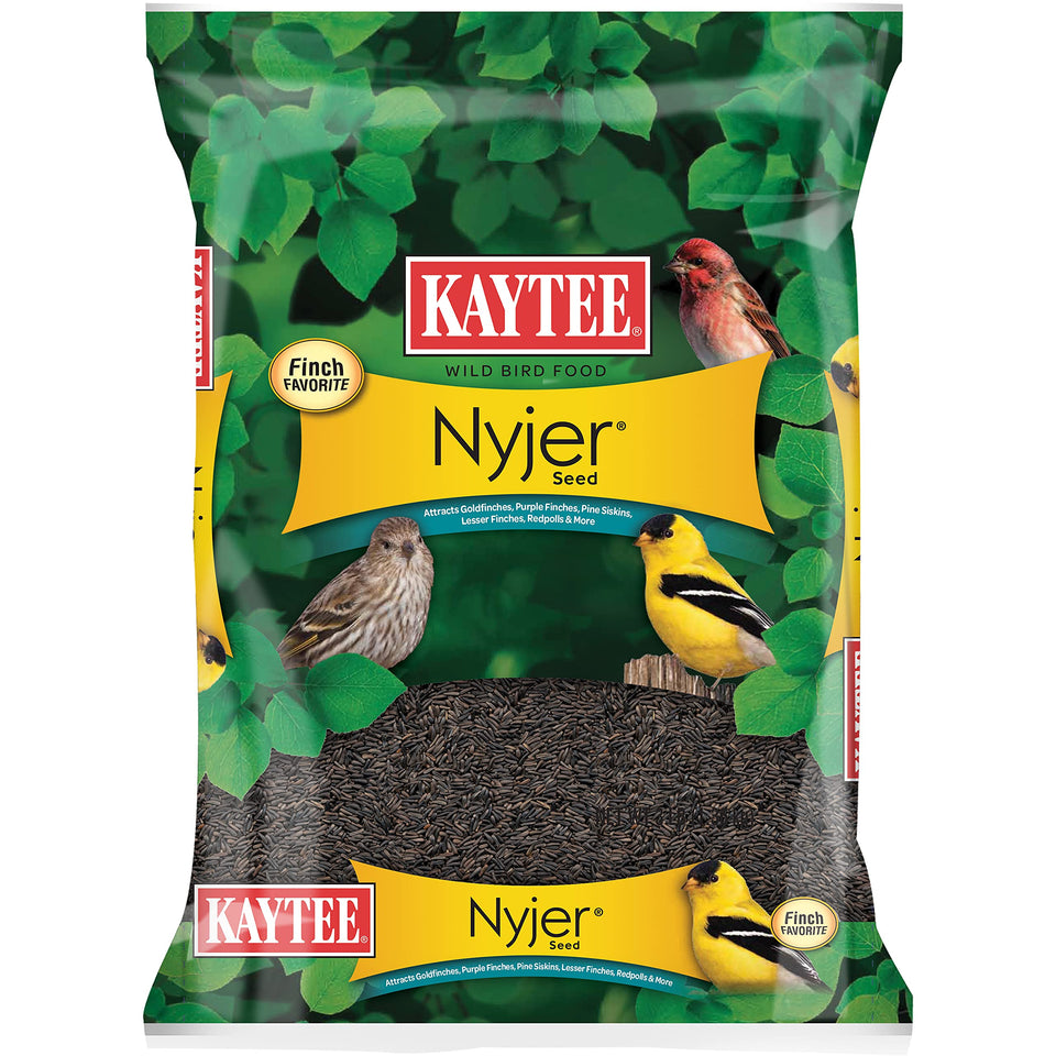 Kaytee Nyjer Seed 3lb bag ready for backyard feeding.