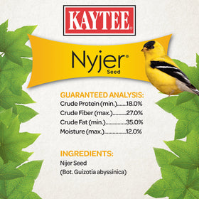 Kaytee Nyjer grains close-up showing hull-free seeds for small beaks.