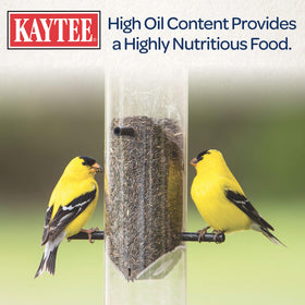 Kaytee Nyjer Seed in mesh sock feeder for mess-free enjoyment.