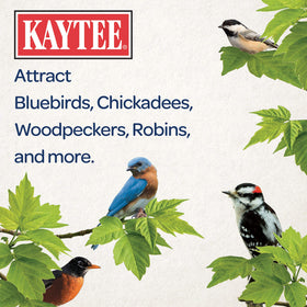 Kaytee seed cake lasts longer than loose seed in feeders
