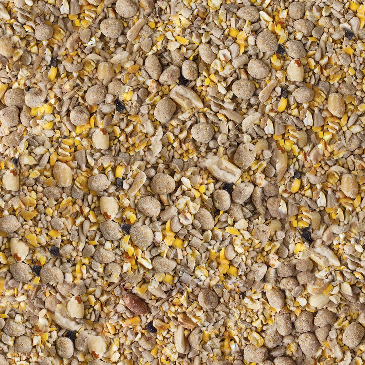 Pouring Kaytee No Mess mix into a feeder for easy use.