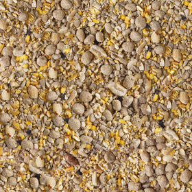 Pouring Kaytee No Mess mix into a feeder for easy use.