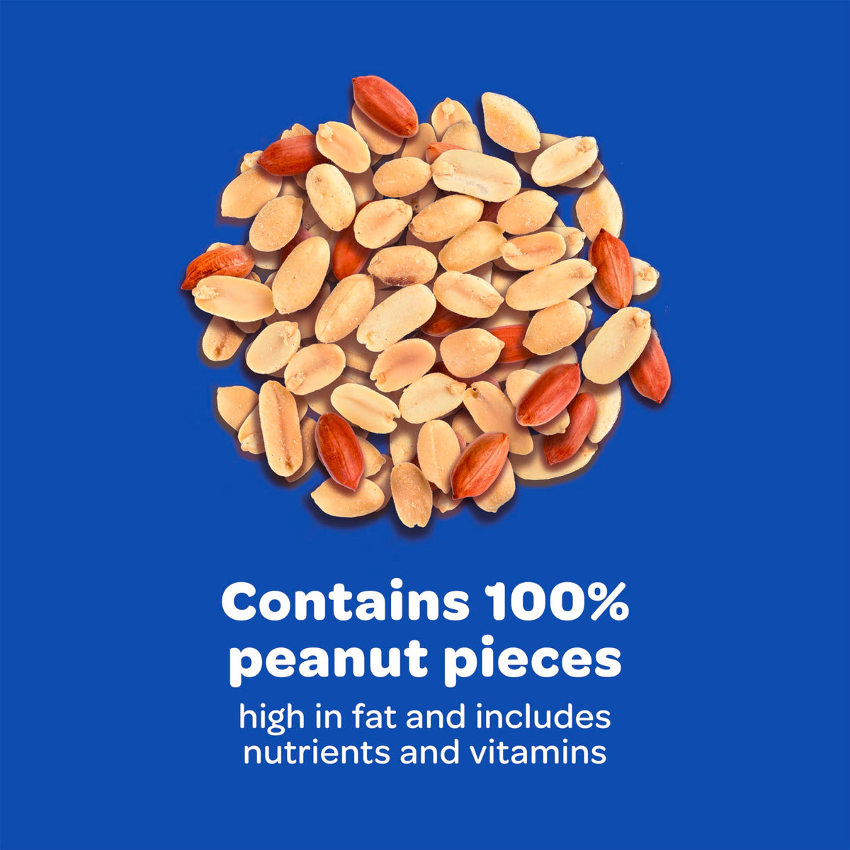 Kaytee Shelled Peanuts invite jays for a colorful backyard visit