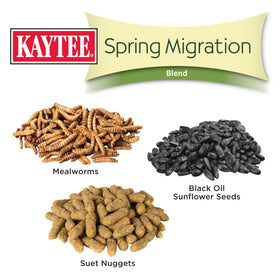 Closeup of Kaytee peanuts in Spring Migration Seed Blend
