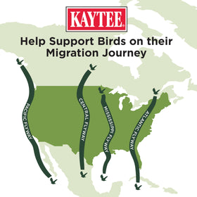 Closeup of Kaytee suet nuggets in Spring Migration Seed Blend