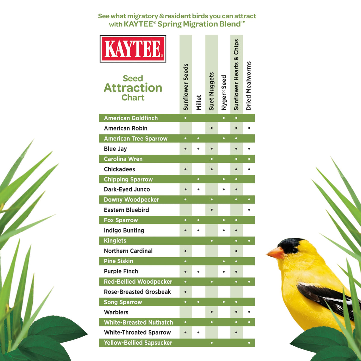 Closeup of Kaytee sunflower seeds in Spring Migration Seed Blend