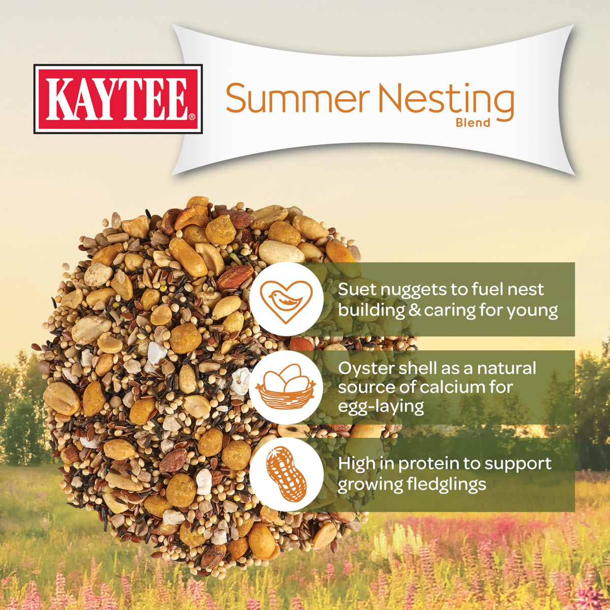 Fat-rich suet nuggets in Kaytee blend fueling growing nestlings