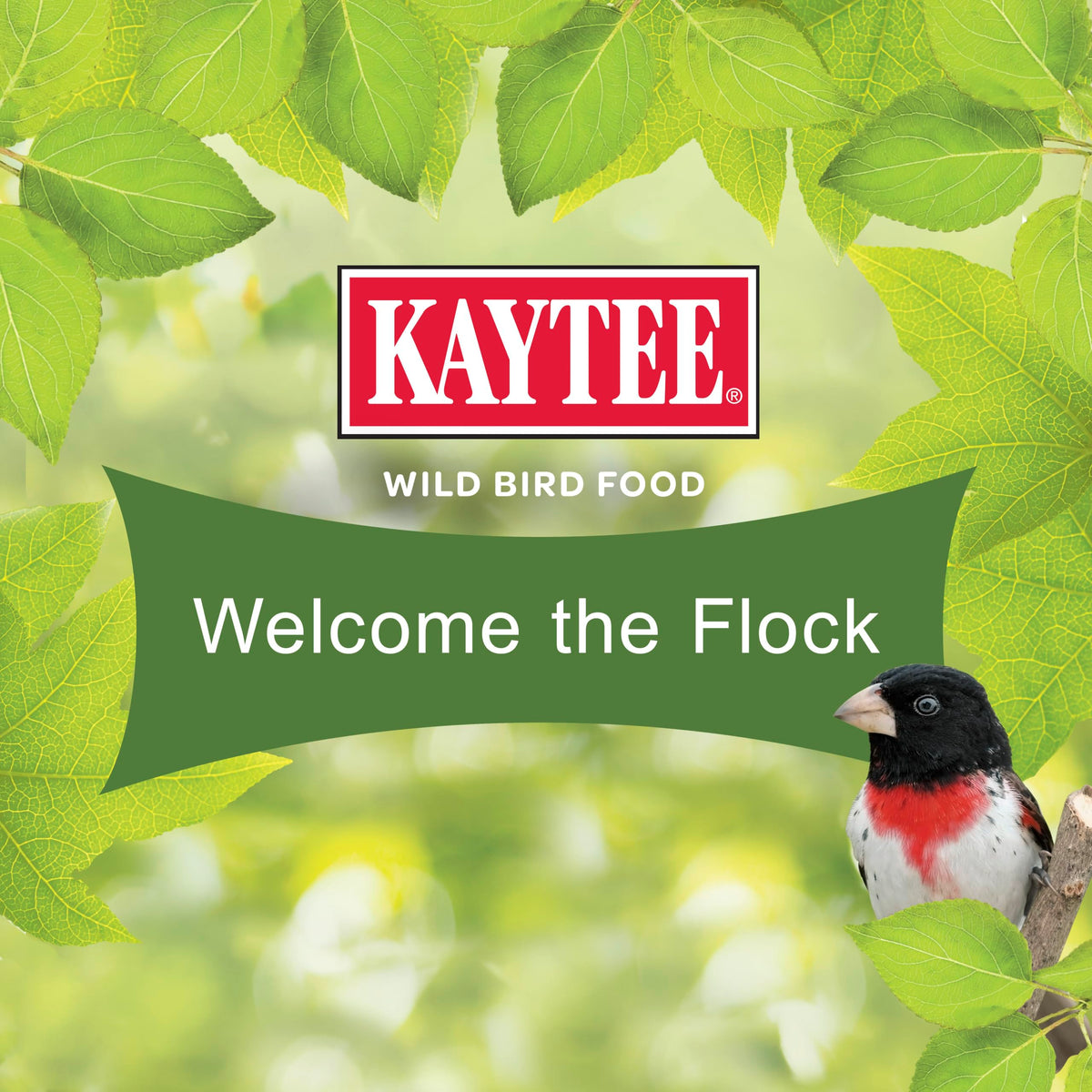 A vibrant backyard scene with multiple species visiting Kaytee Nut & Fruit Blend.