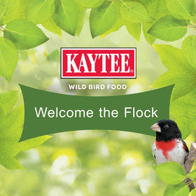 A vibrant backyard scene with multiple species visiting Kaytee Nut & Fruit Blend.