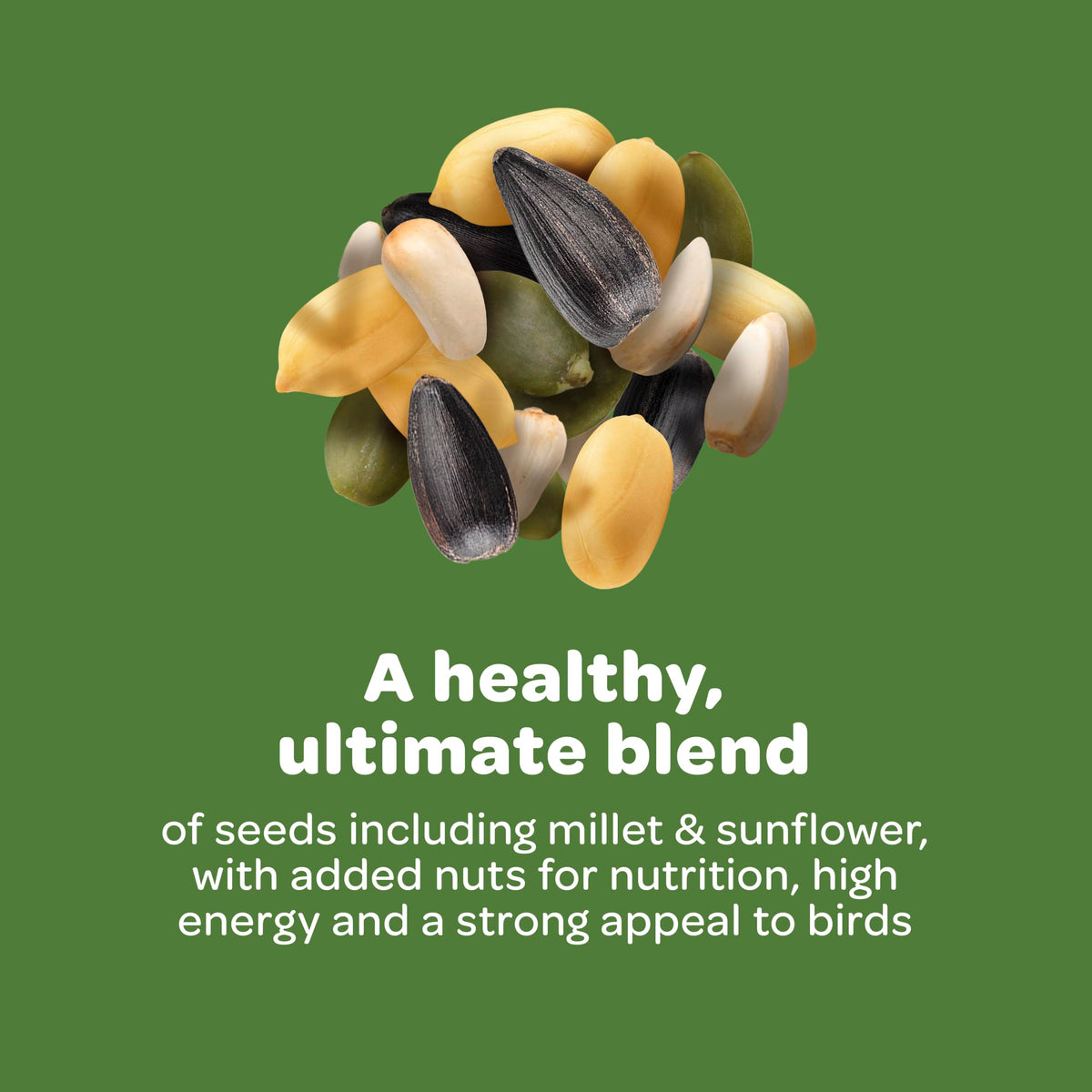 Feeder with large ports paired with Kaytee Nut & Fruit Blend for easy access.