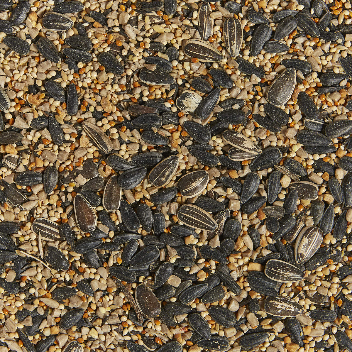 Kaytee Western Regional Seed bag closeup highlighting seed variety for backyard feeding.