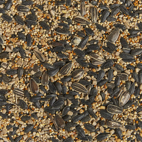 Kaytee Western Regional Seed bag closeup highlighting seed variety for backyard feeding.