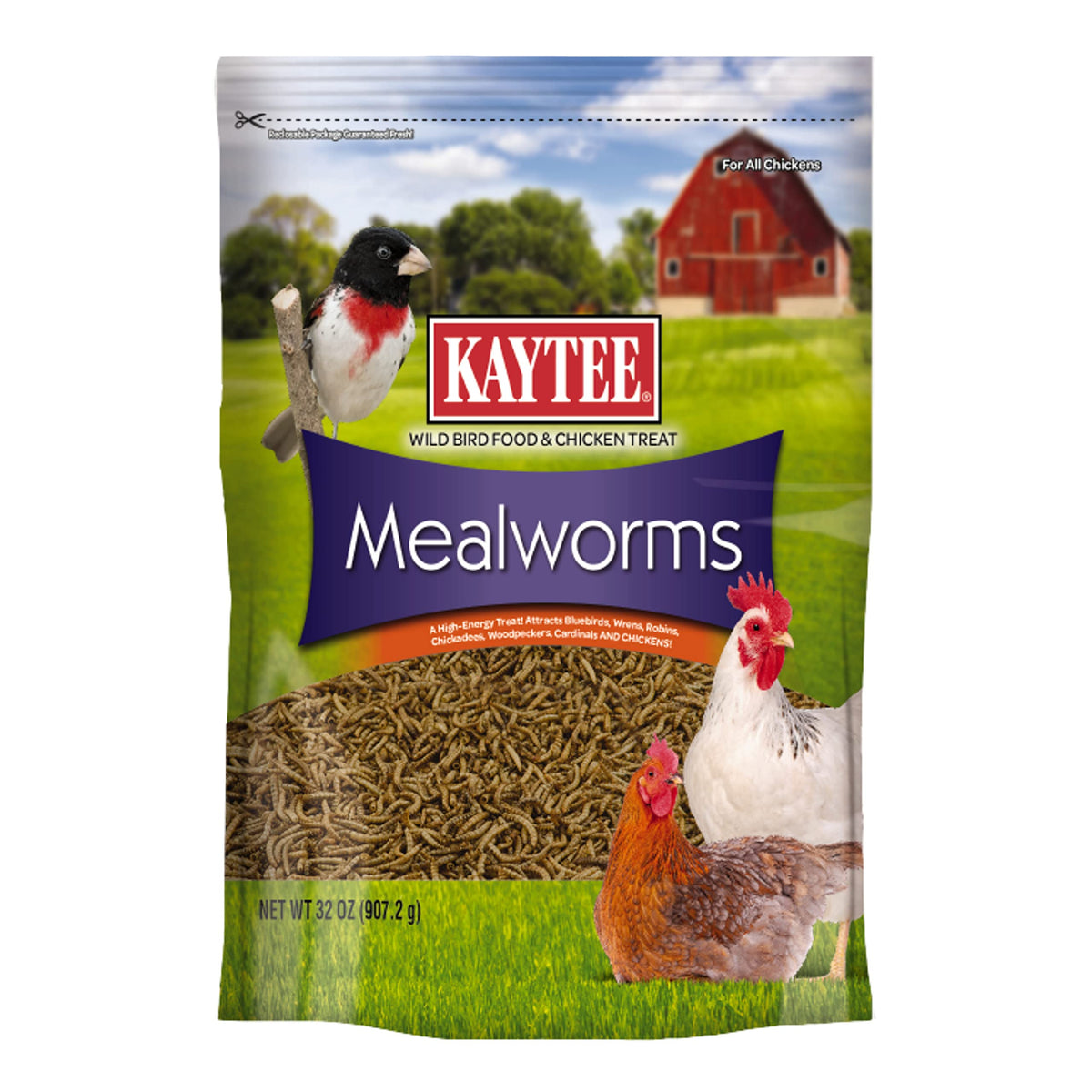 Kaytee mealworms pack shot showing high-protein wild bird food.