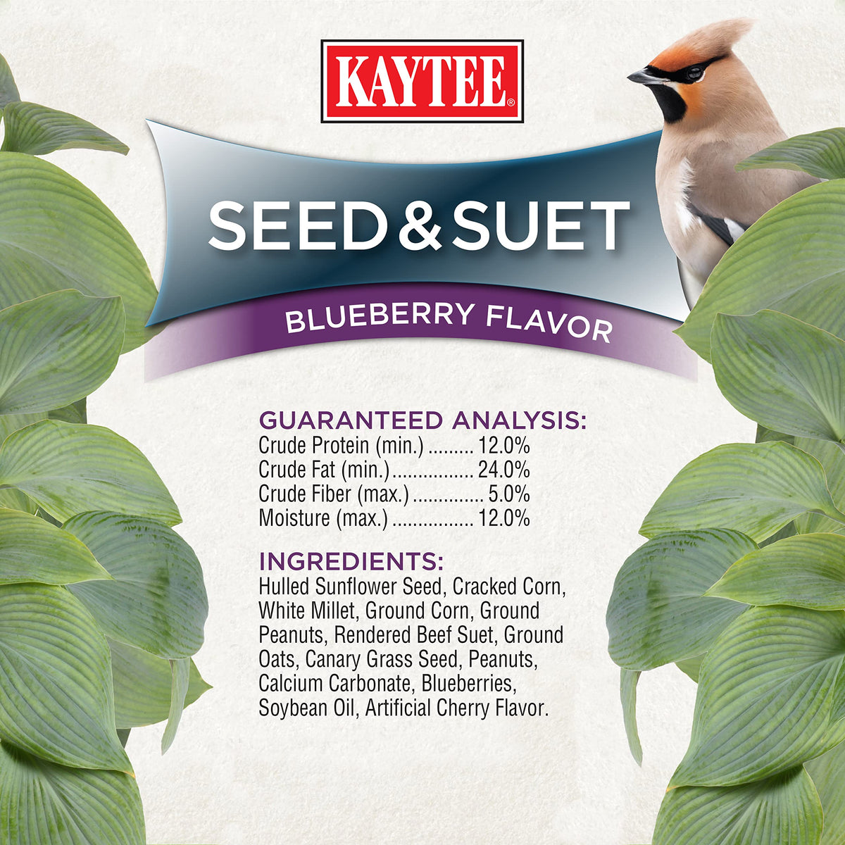 Kaytee woodpecker attraction blueberry blend invites lively visits