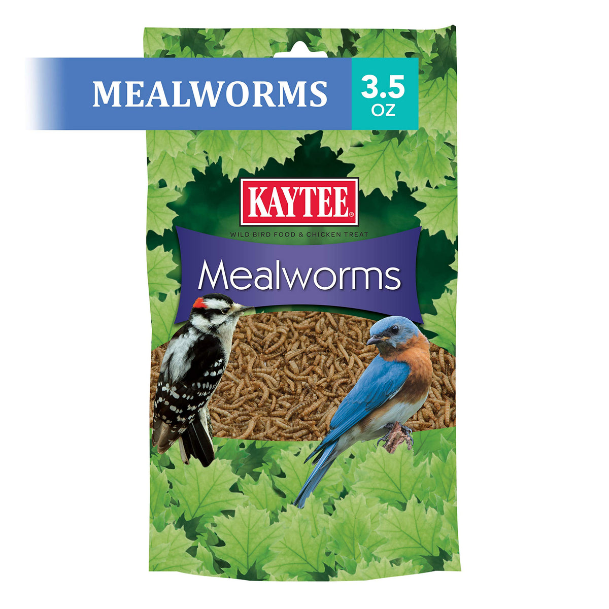 Kaytee wrens mealworms wrens enjoying a protein-rich snack.