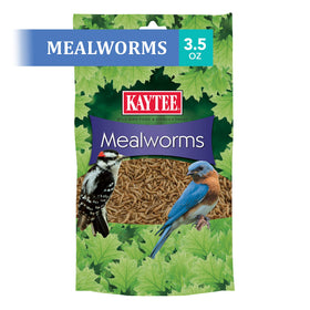 Kaytee wrens mealworms wrens enjoying a protein-rich snack.